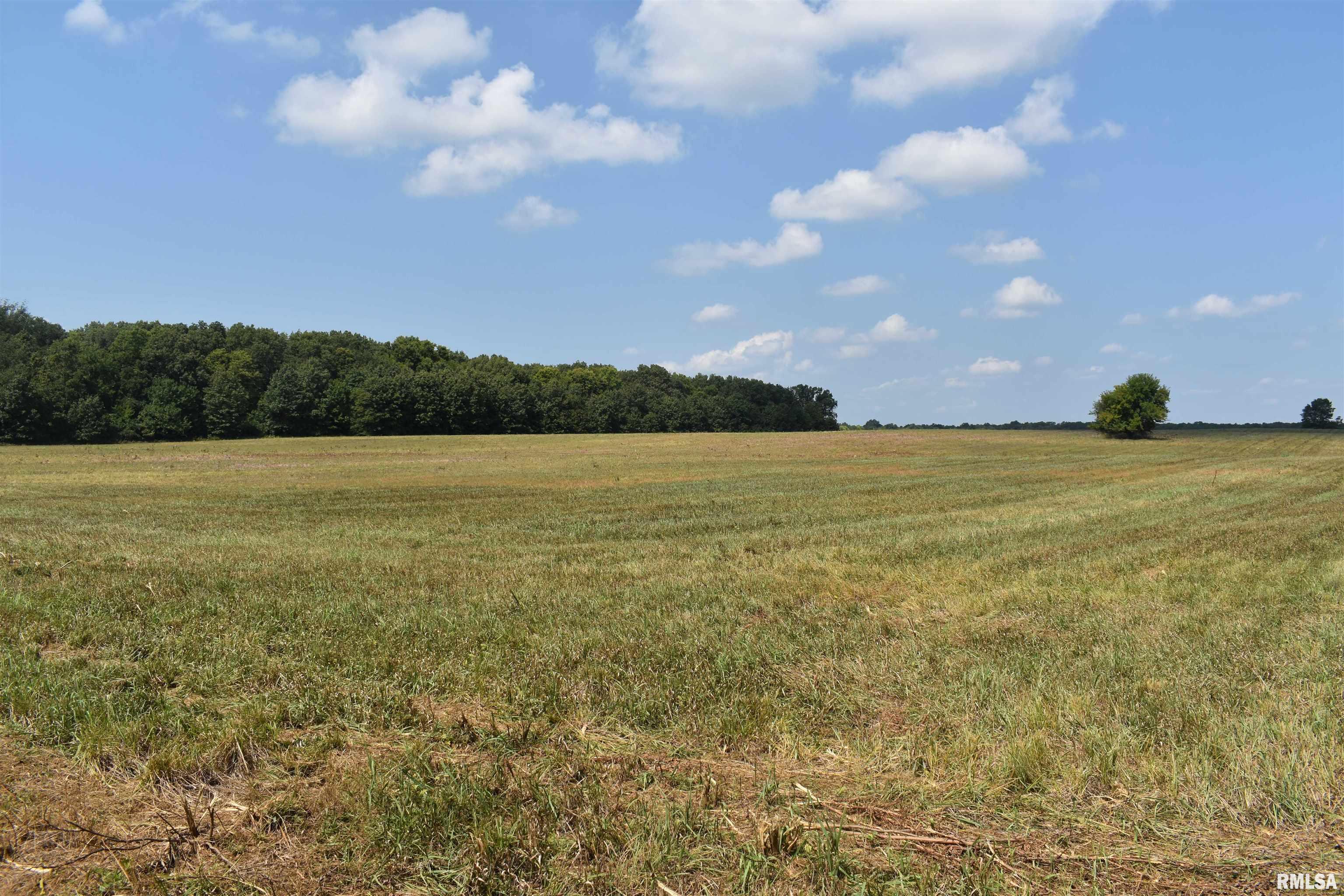 Morgan Cass County Line Road, Meredosia, Illinois image 17