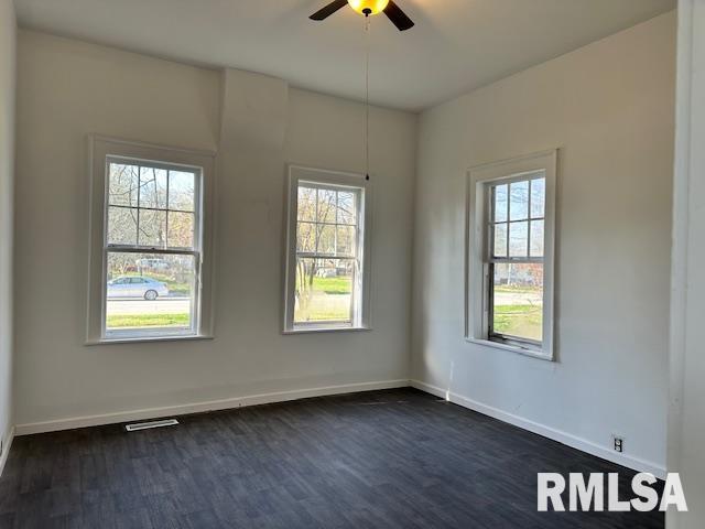 335 E Elm Street, Waverly, Illinois image 2