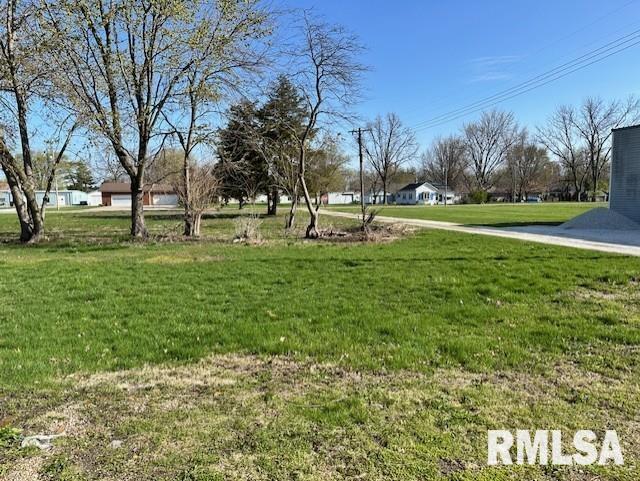 335 E Elm Street, Waverly, Illinois image 23