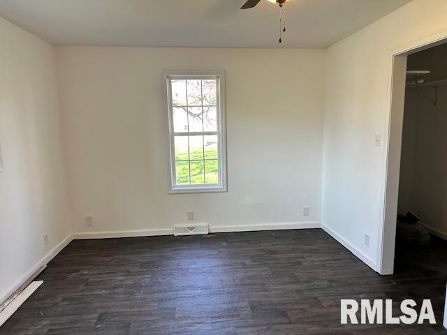 335 E Elm Street, Waverly, Illinois image 6