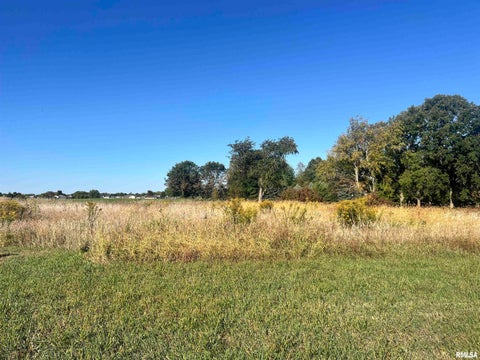 Vacant Land For Sale - LOT 88 Kyle Court<br/> Metamora, IL 61548