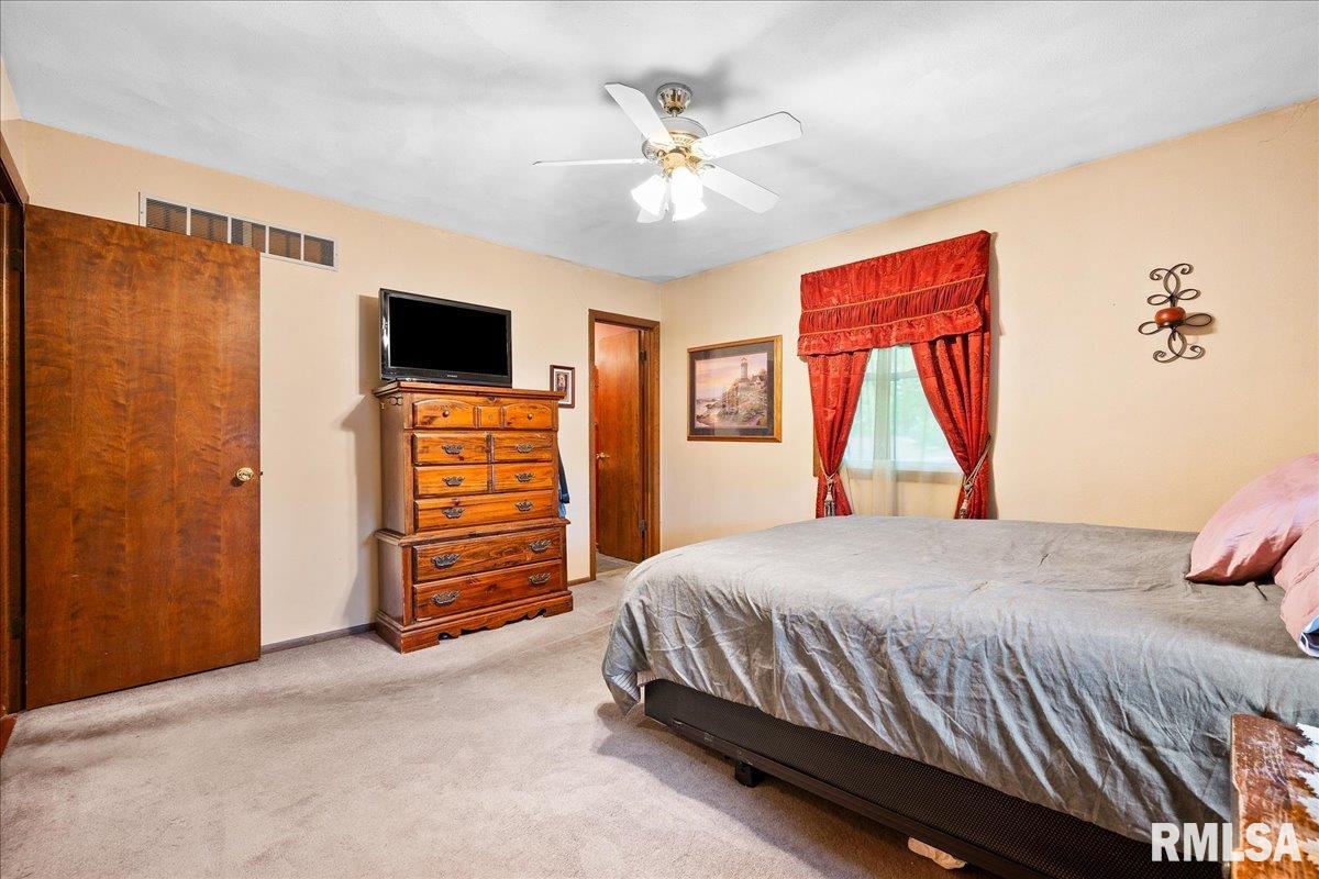 411 Zook Court, Germantown Hills, Illinois image 27
