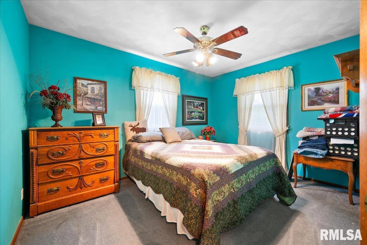 411 Zook Court, Germantown Hills, Illinois image 10