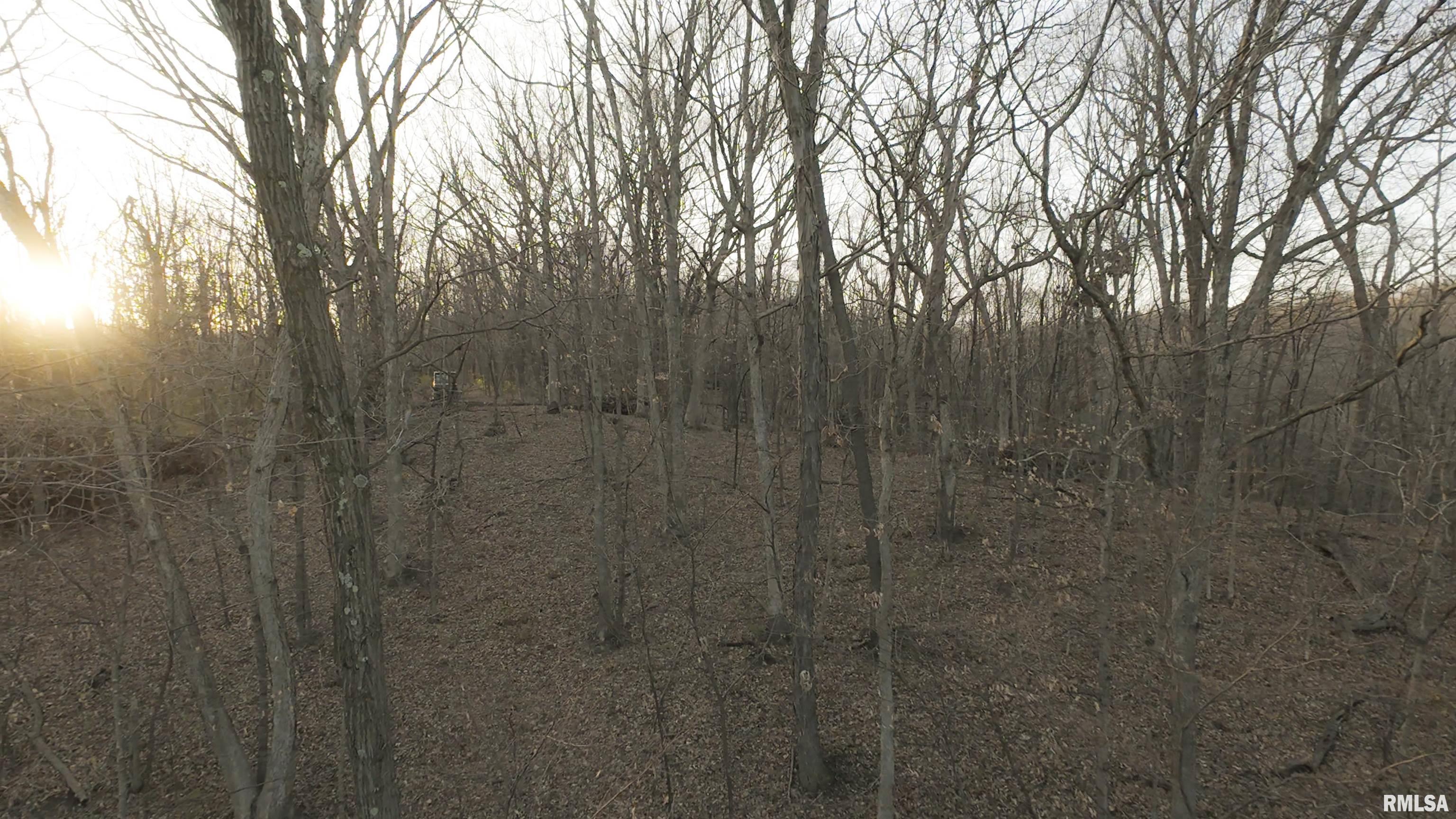 00 N Hardscrabble Road, Sparland, Illinois image 17