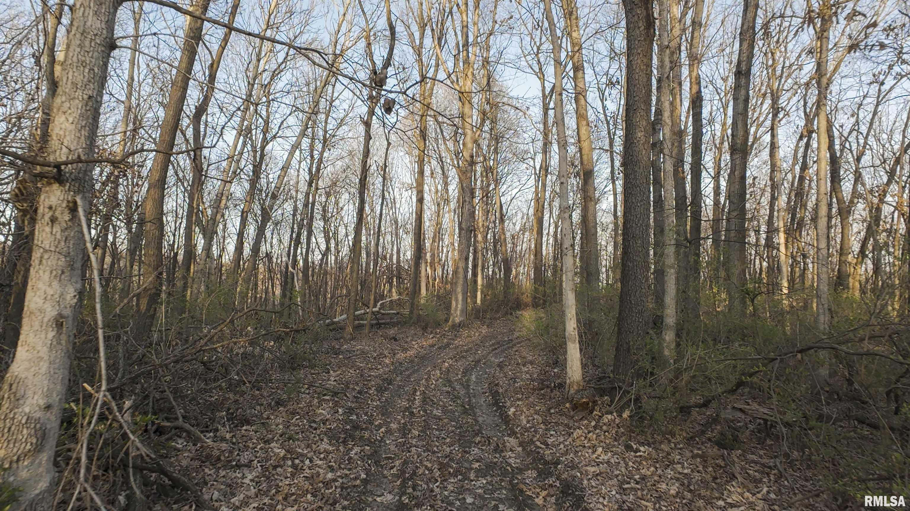 00 N Hardscrabble Road, Sparland, Illinois image 11