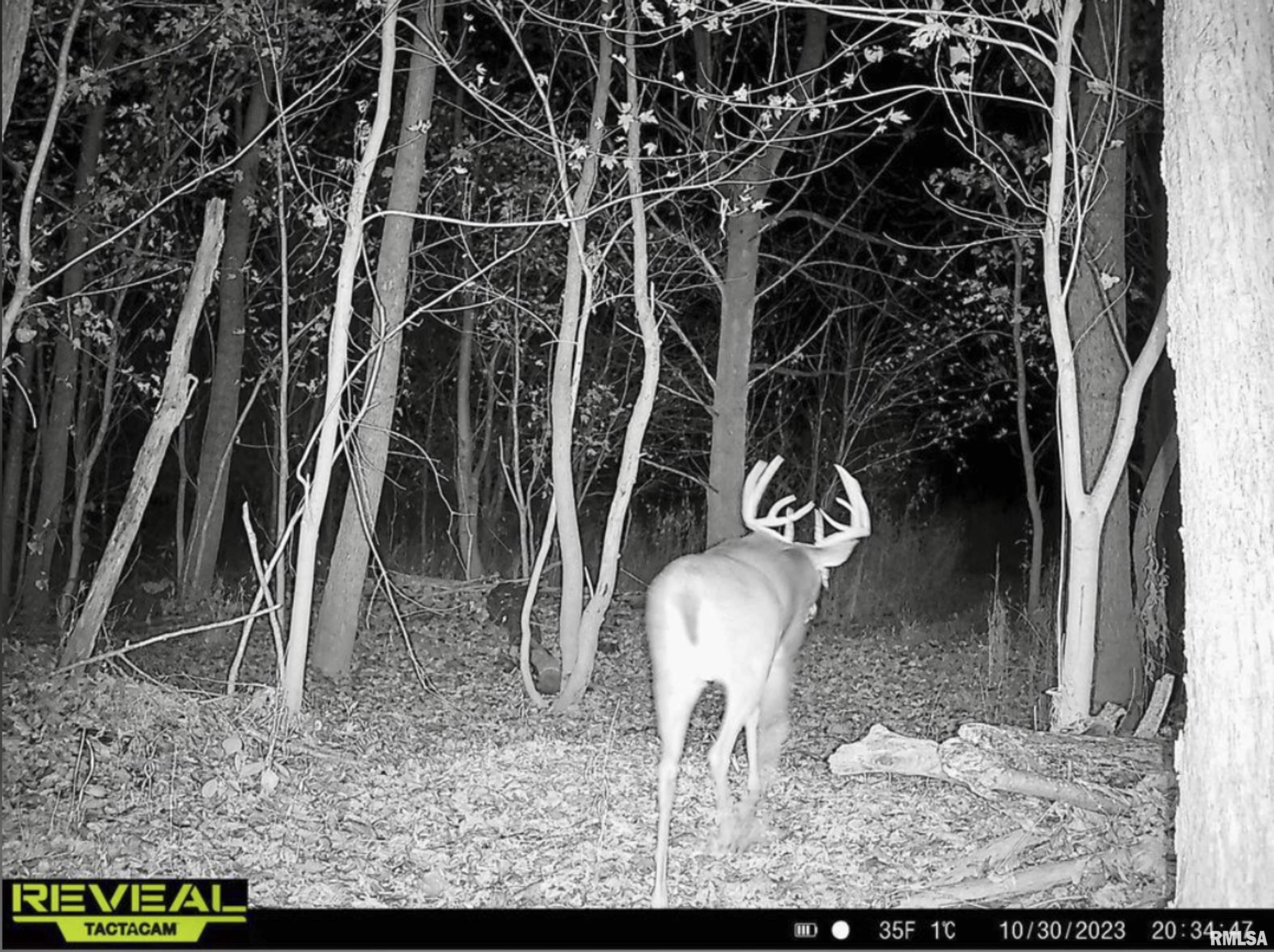 00 N Hardscrabble Road, Sparland, Illinois image 6