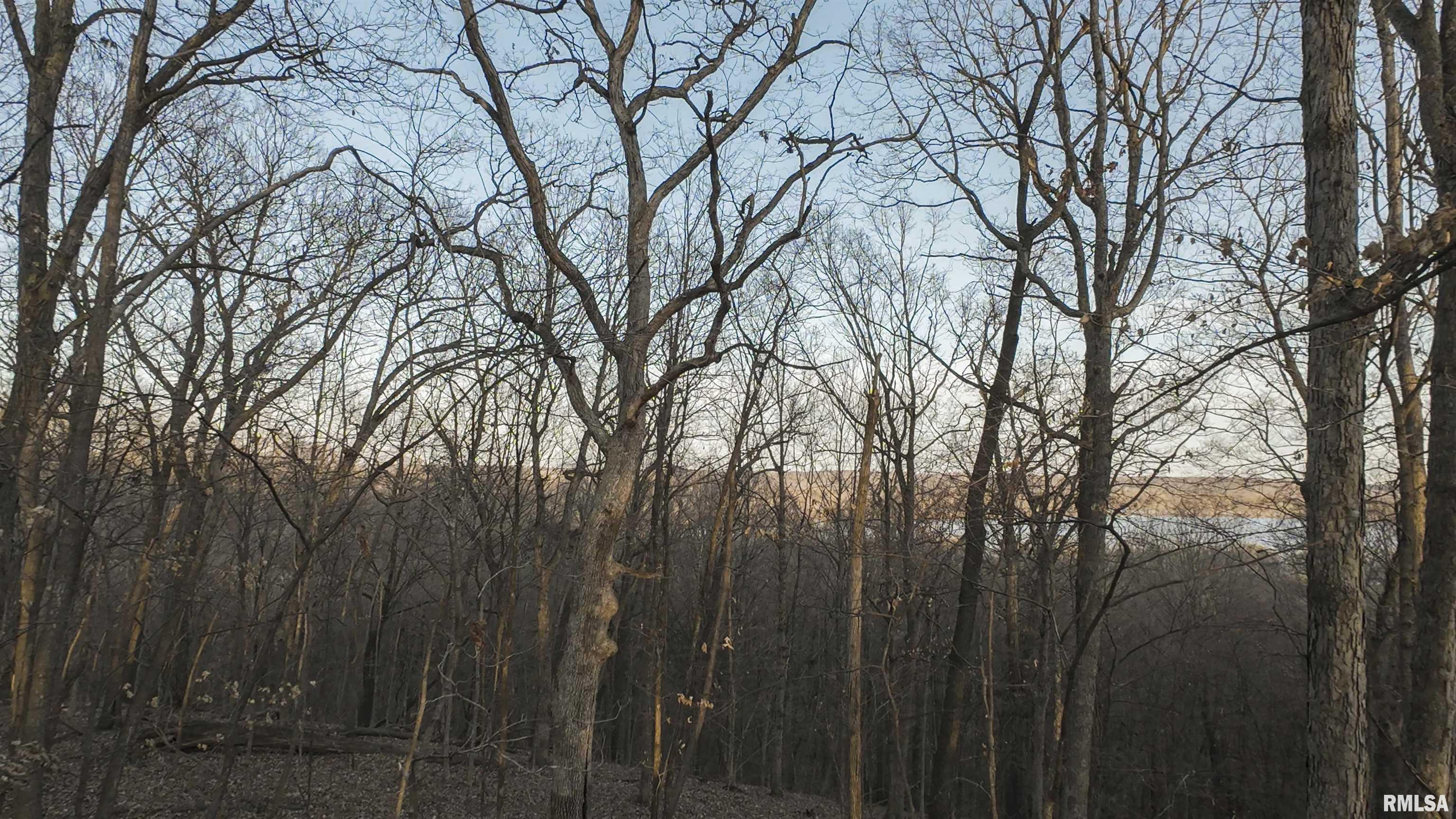 00 N Hardscrabble Road, Sparland, Illinois image 15