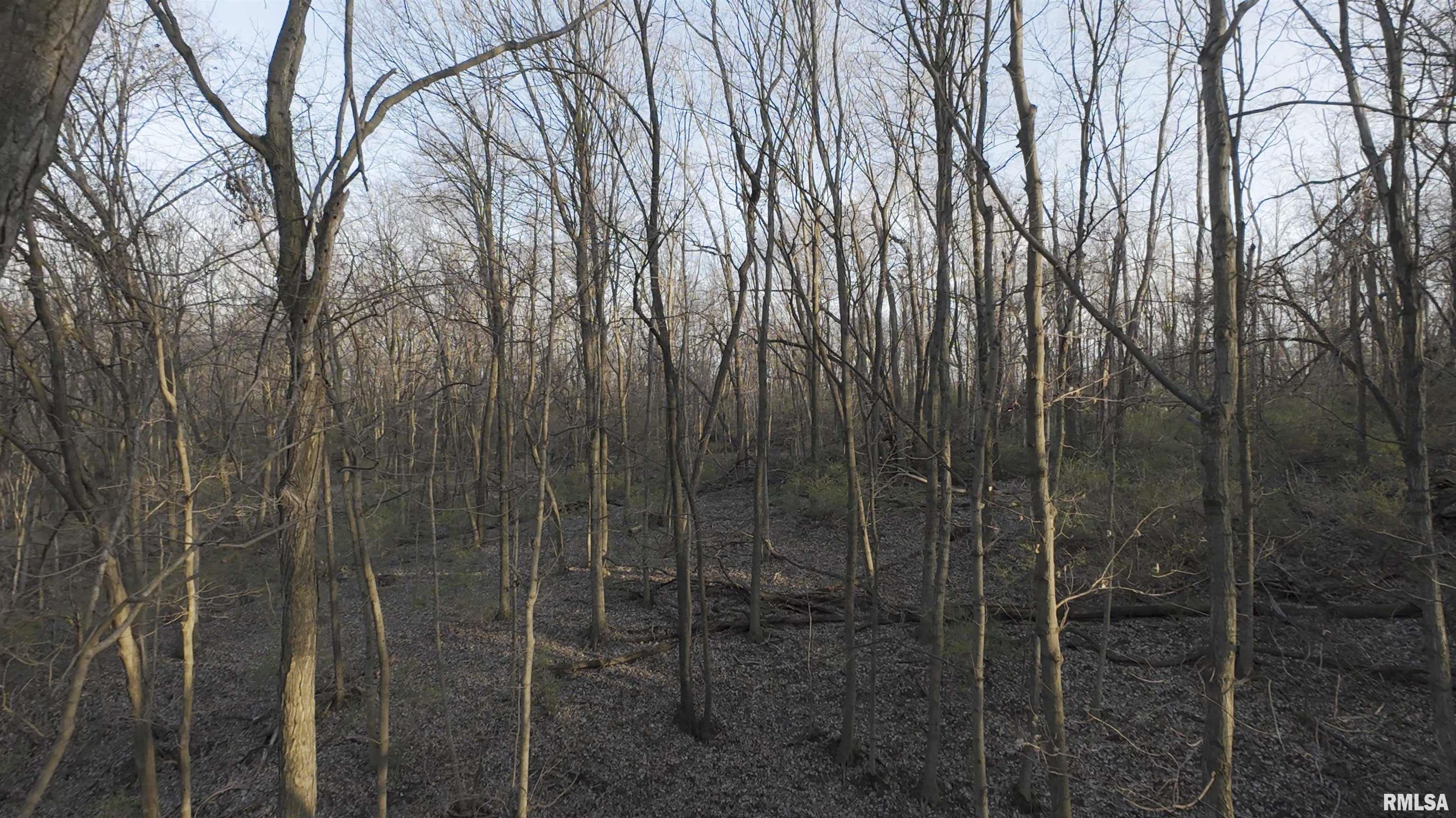00 N Hardscrabble Road, Sparland, Illinois image 8