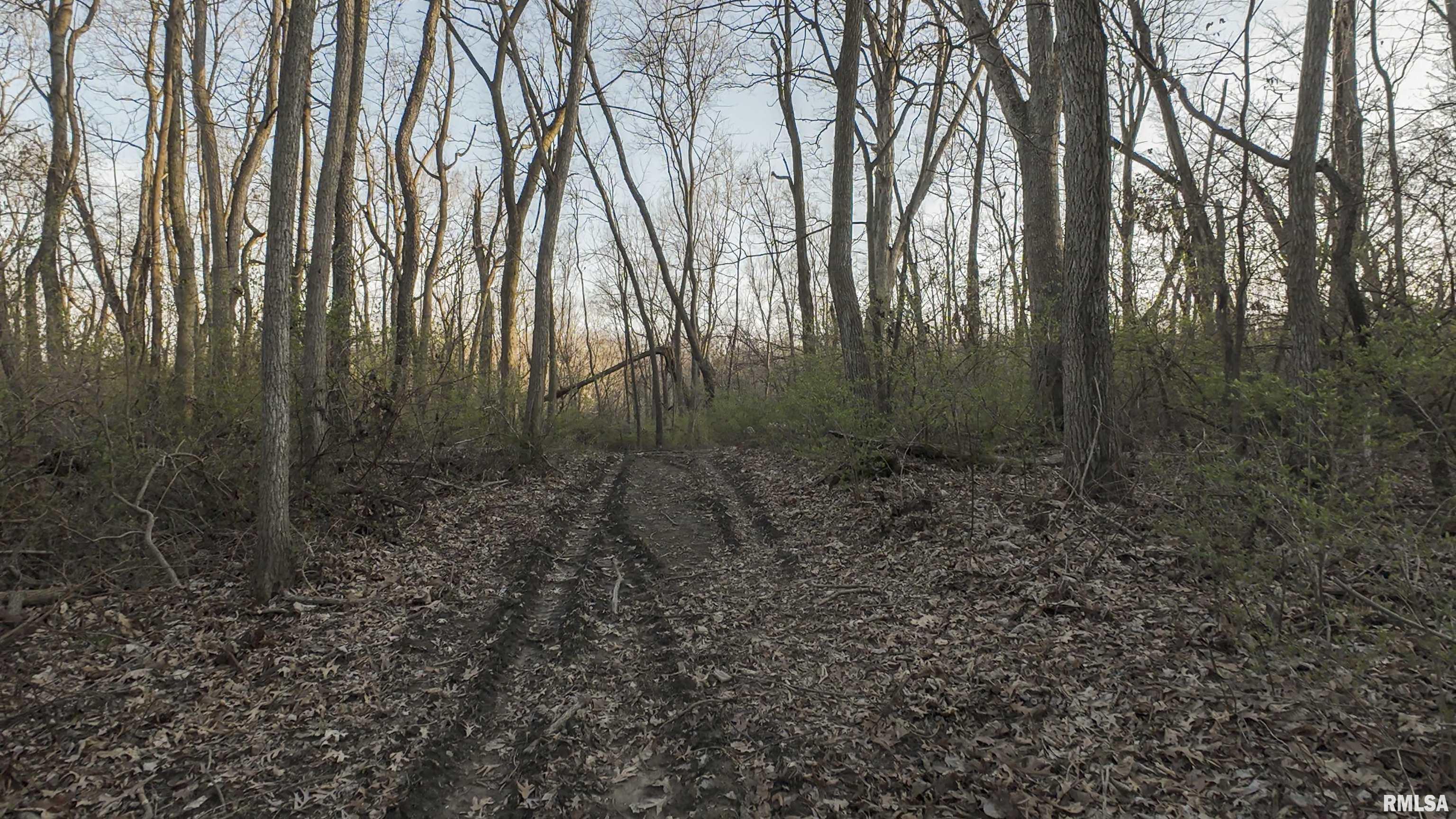 00 N Hardscrabble Road, Sparland, Illinois image 10