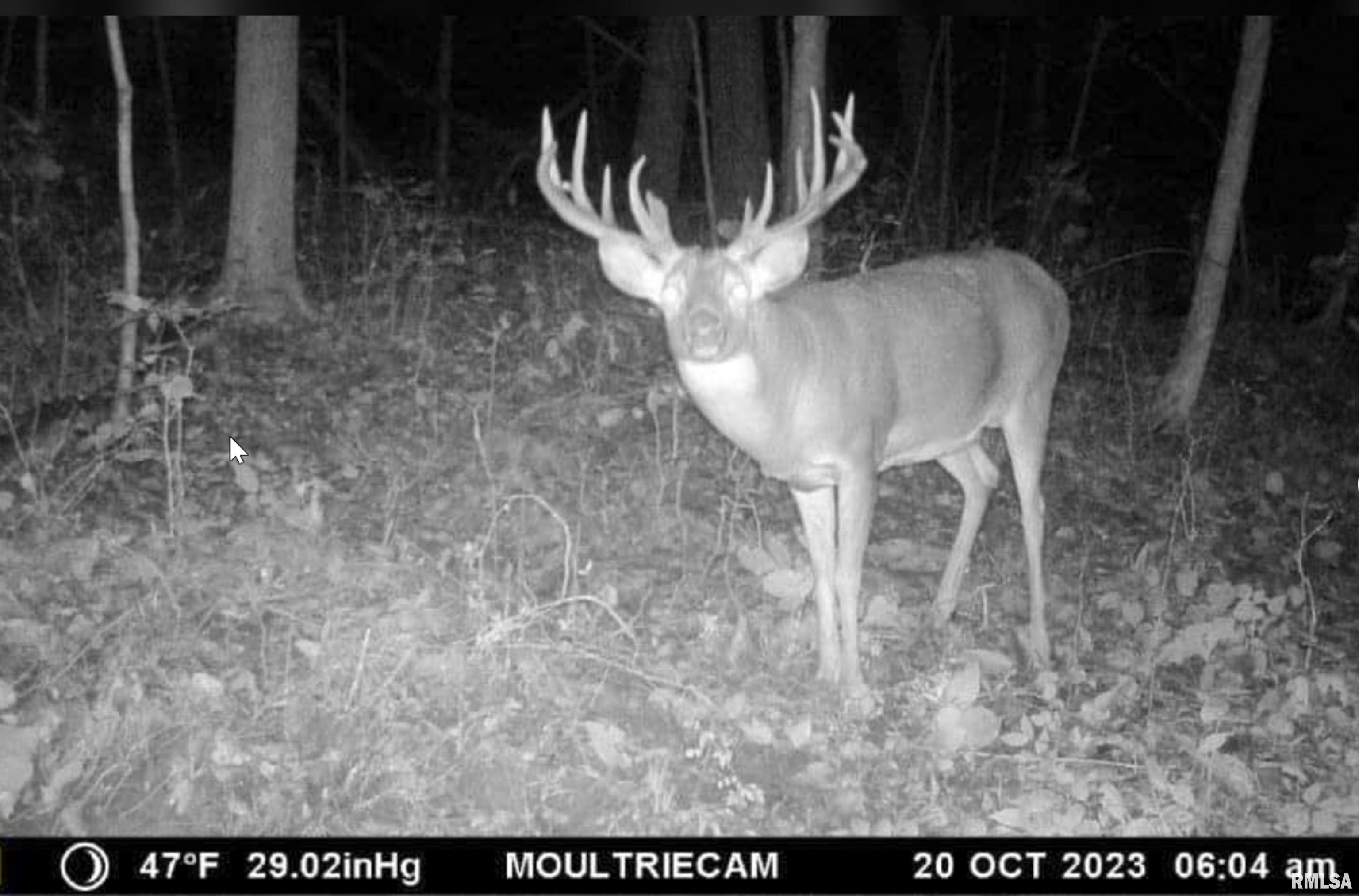 00 N Hardscrabble Road, Sparland, Illinois image 7