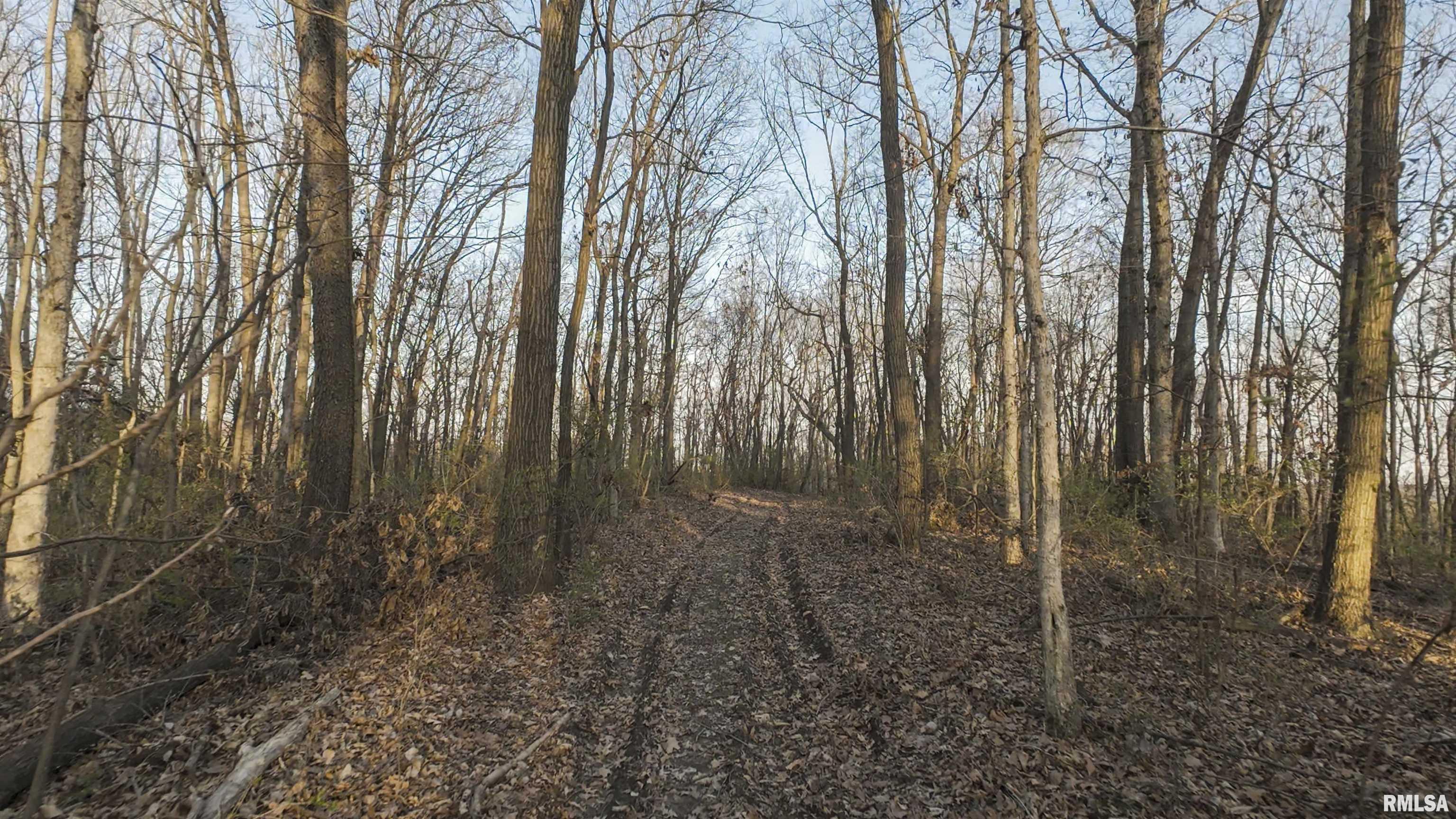 00 N Hardscrabble Road, Sparland, Illinois image 12