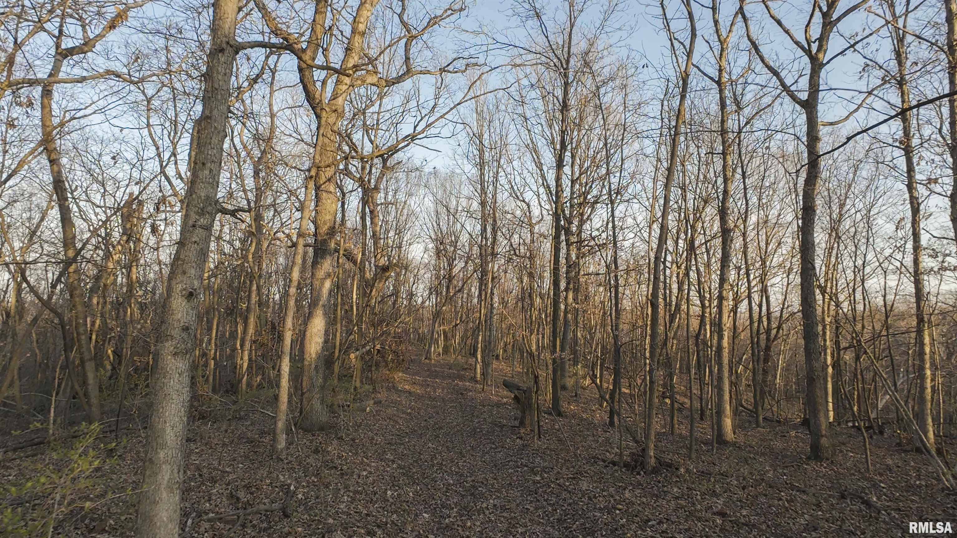00 N Hardscrabble Road, Sparland, Illinois image 14
