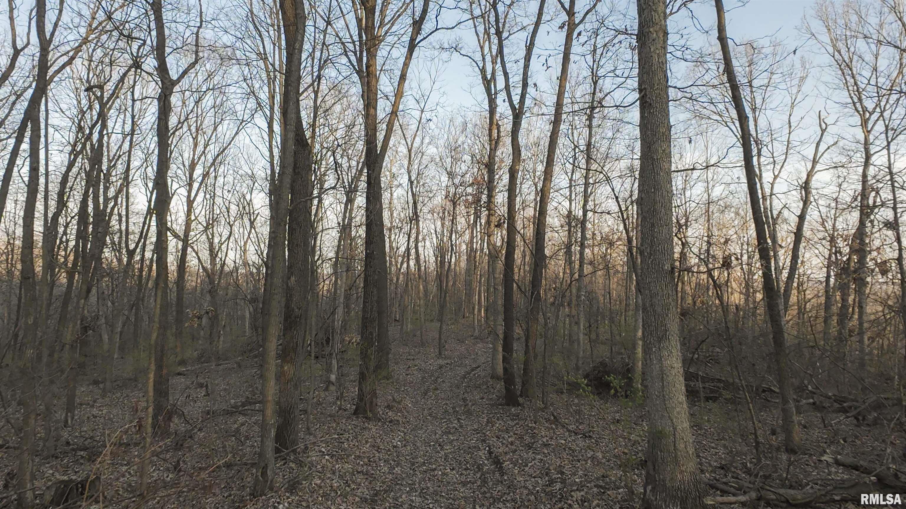 00 N Hardscrabble Road, Sparland, Illinois image 13
