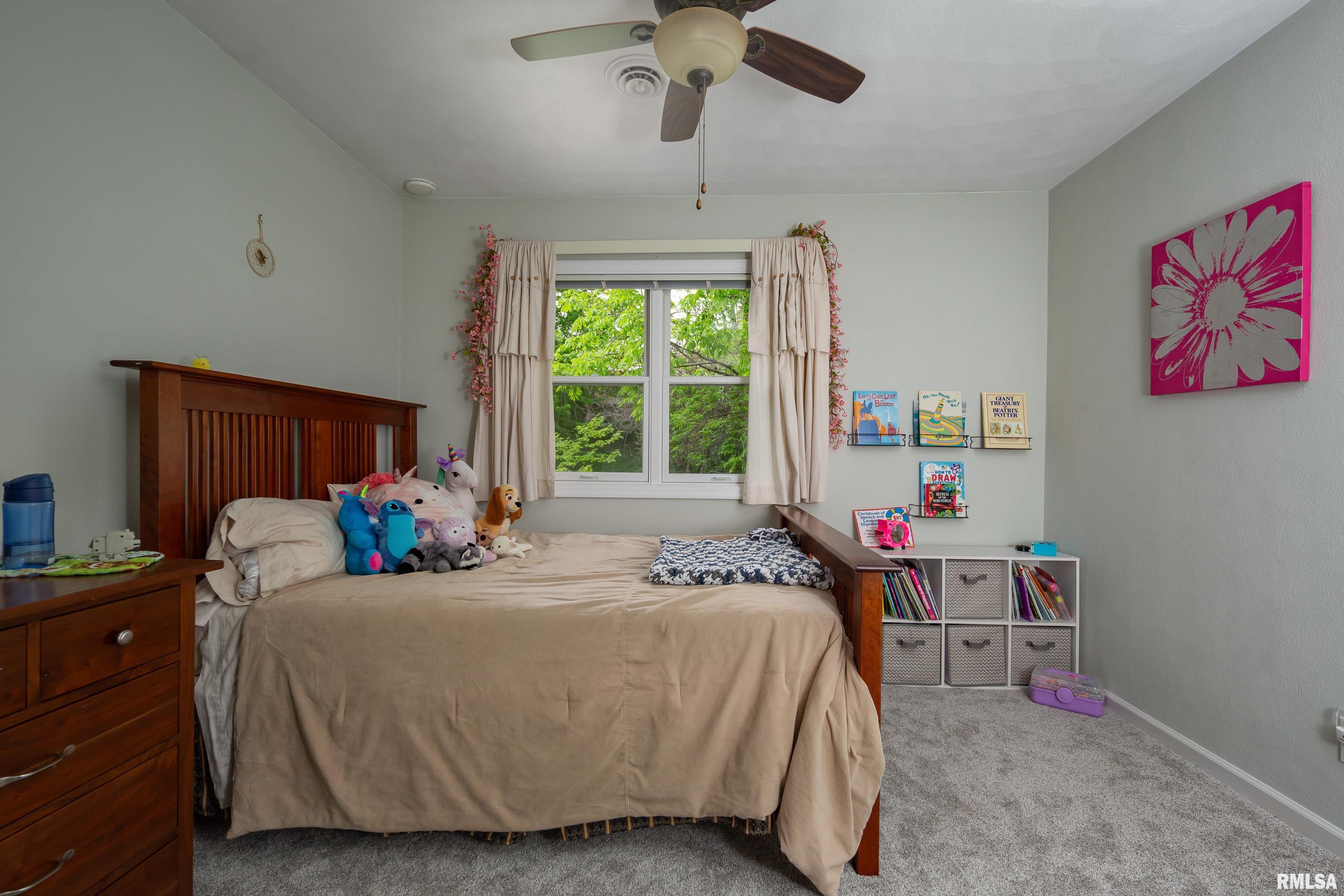 8530 W 17th Street, Rock Island, Illinois image 29
