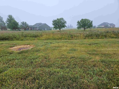 Vacant Land For Sale - 917 Ring Drive<br/> Metamora, IL 61548