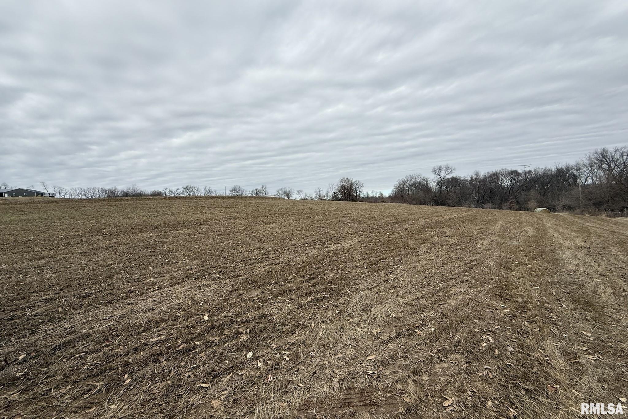 7.05 Acres Section 05 3s 5w, Liberty, Illinois image 7