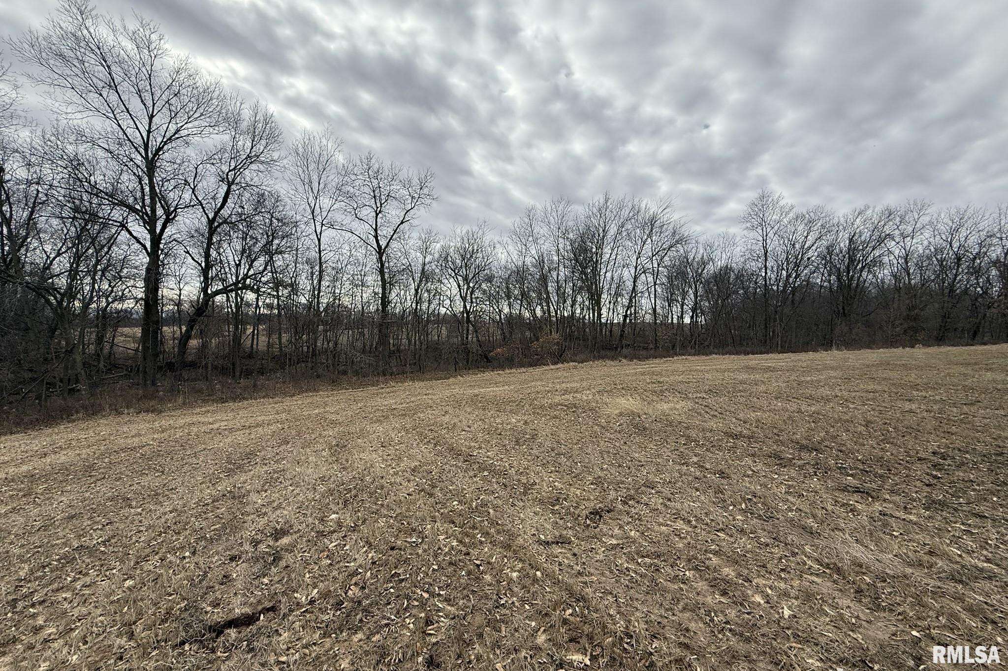 7.05 Acres Section 05 3s 5w, Liberty, Illinois image 6