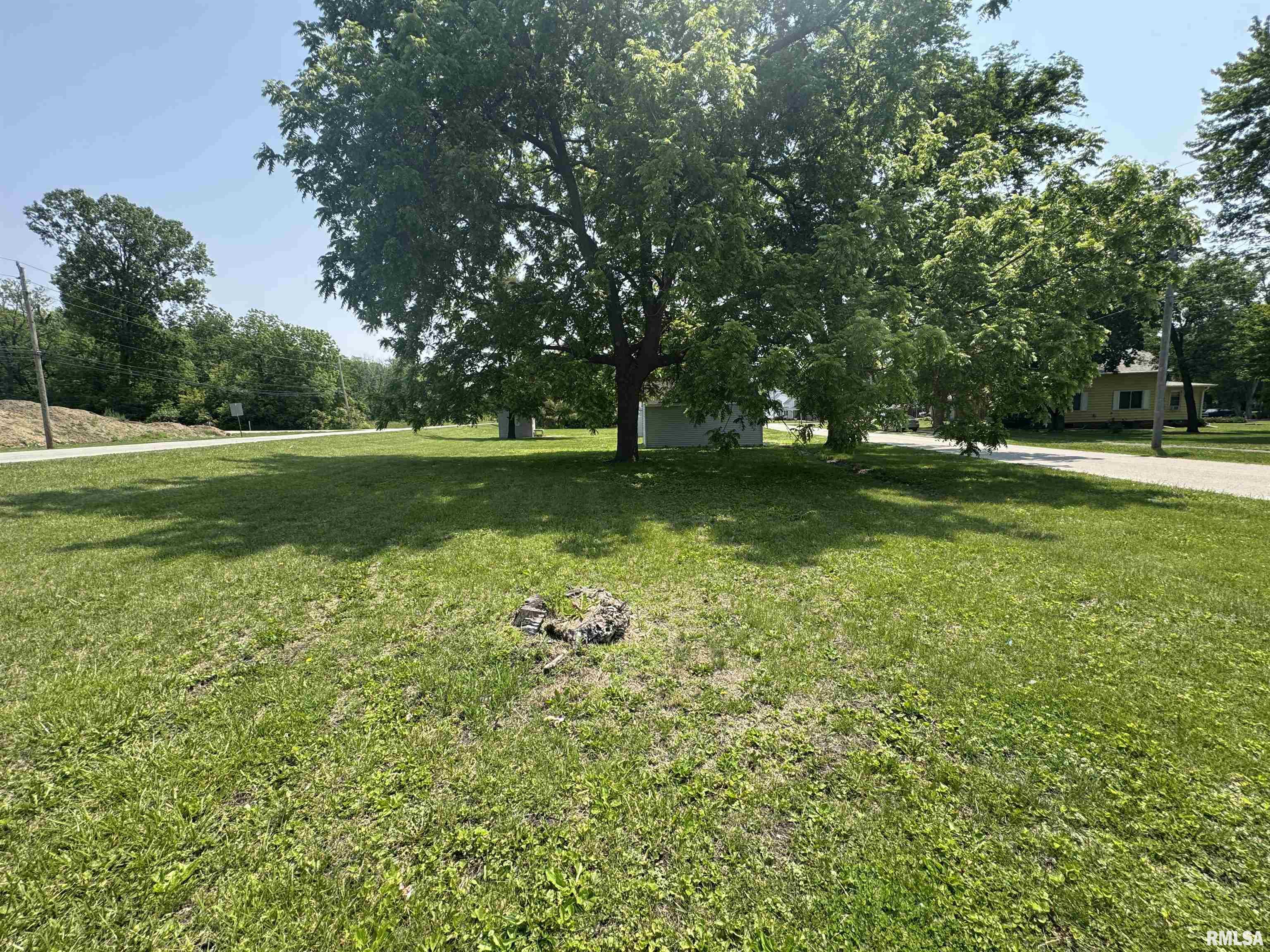 619 Green River Street, Colona, Illinois image 12