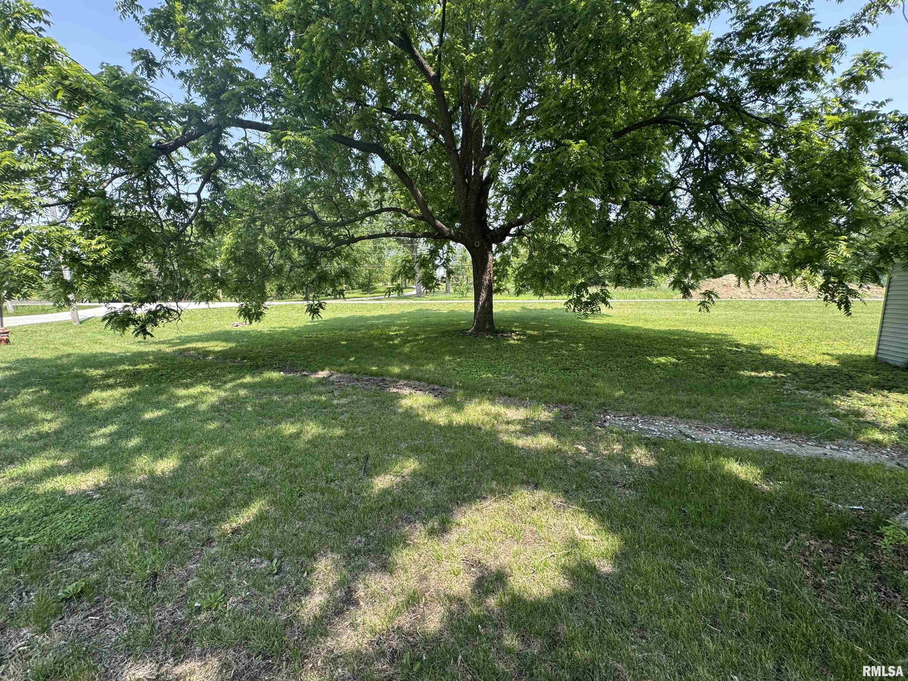 619 Green River Street, Colona, Illinois image 10