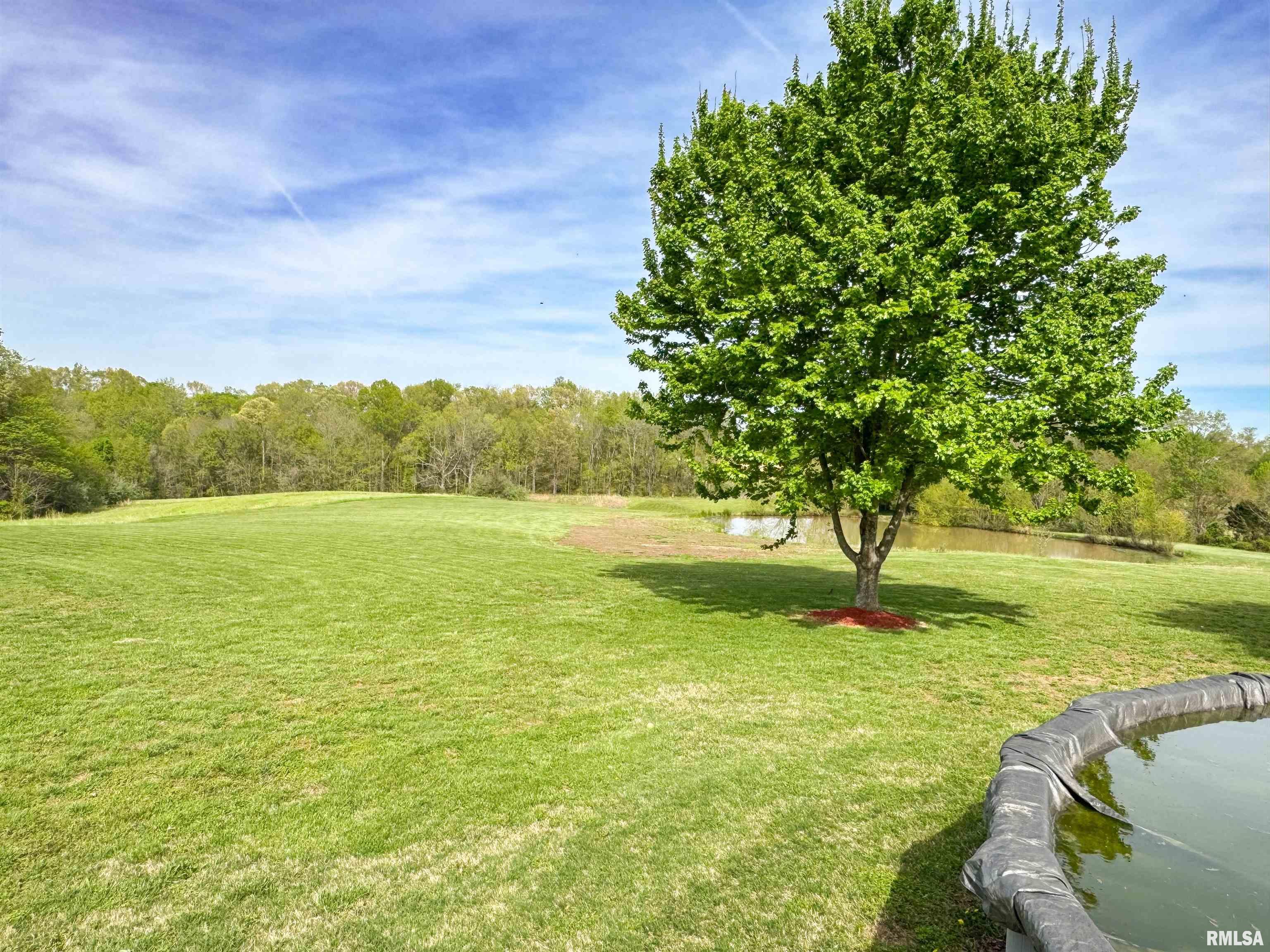 110 Cox Lane, Dongola, Illinois image 19
