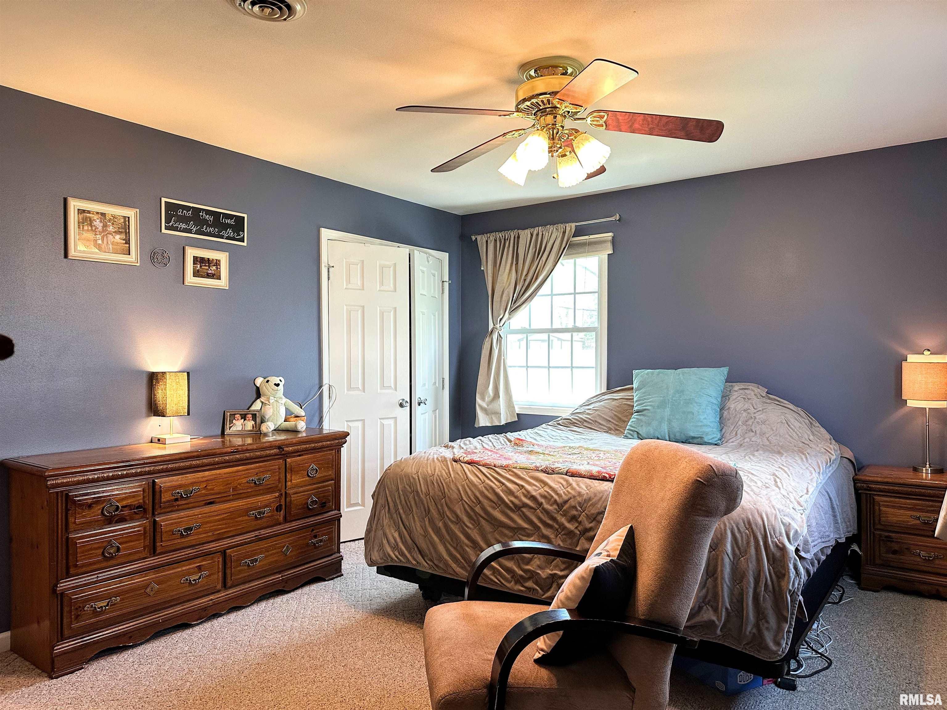 1005 Ivey Lane, Carterville, Illinois image 11
