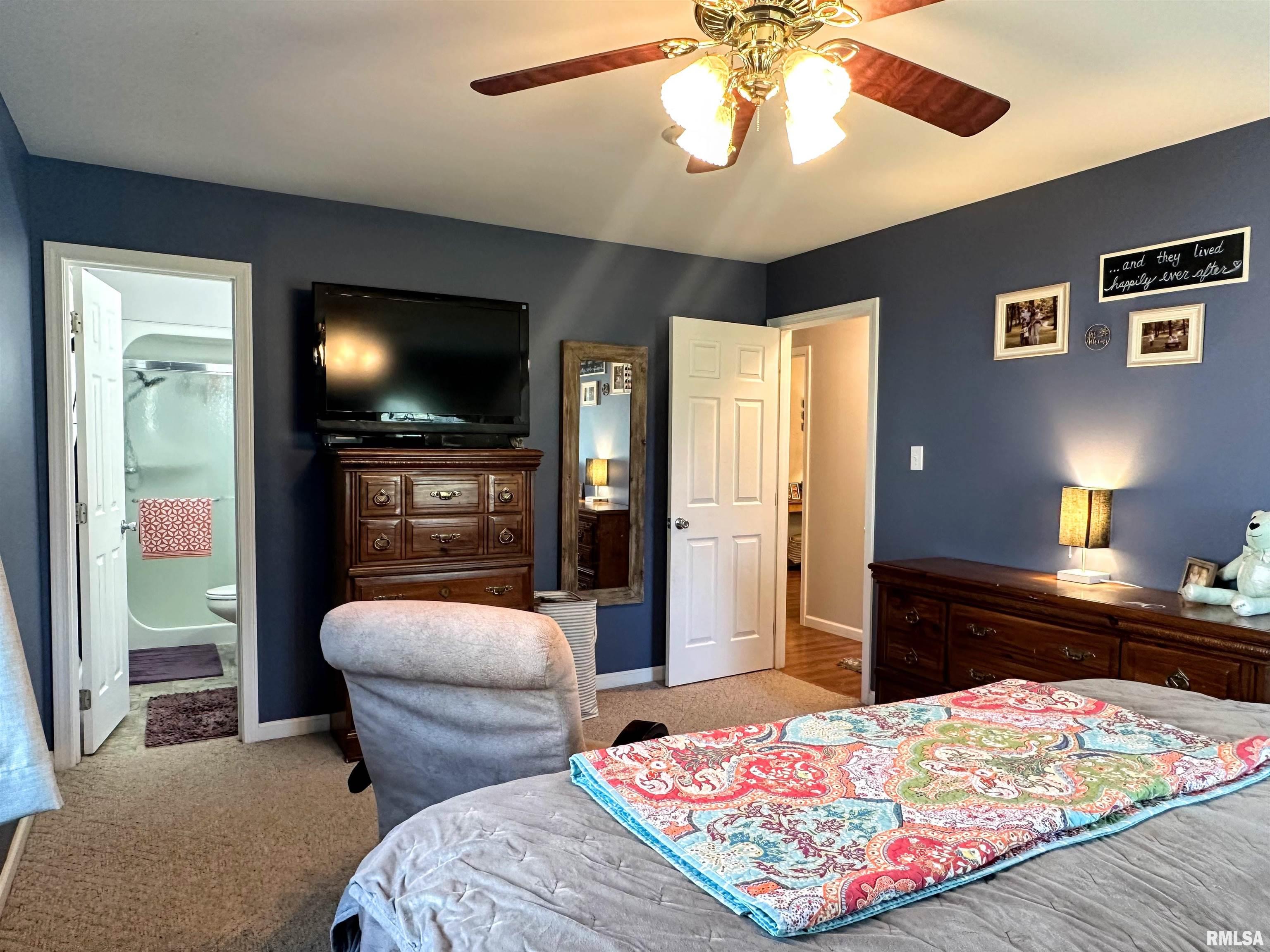 1005 Ivey Lane, Carterville, Illinois image 12