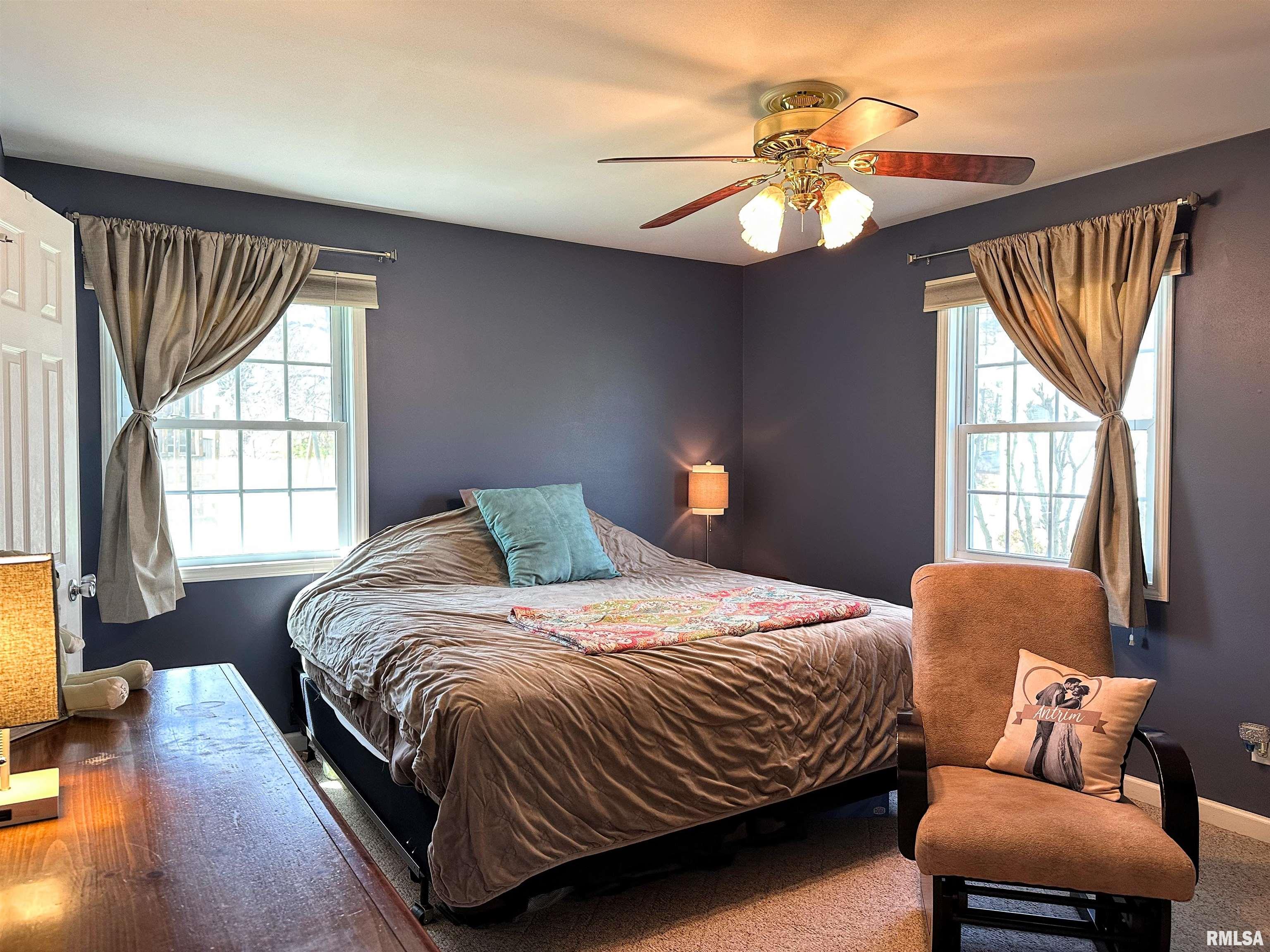 1005 Ivey Lane, Carterville, Illinois image 10