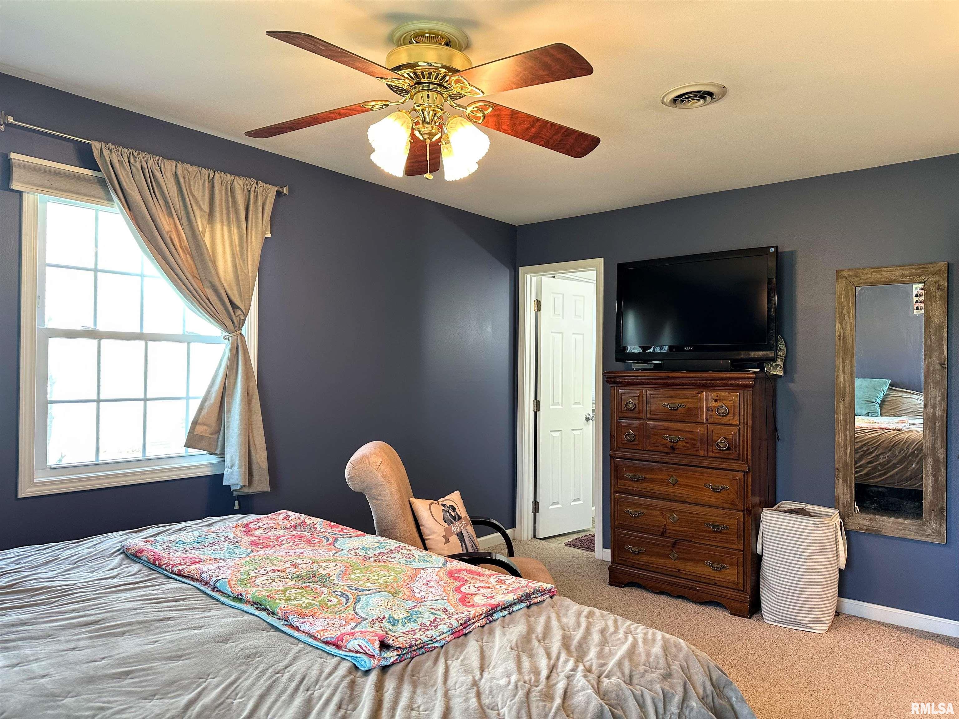 1005 Ivey Lane, Carterville, Illinois image 13