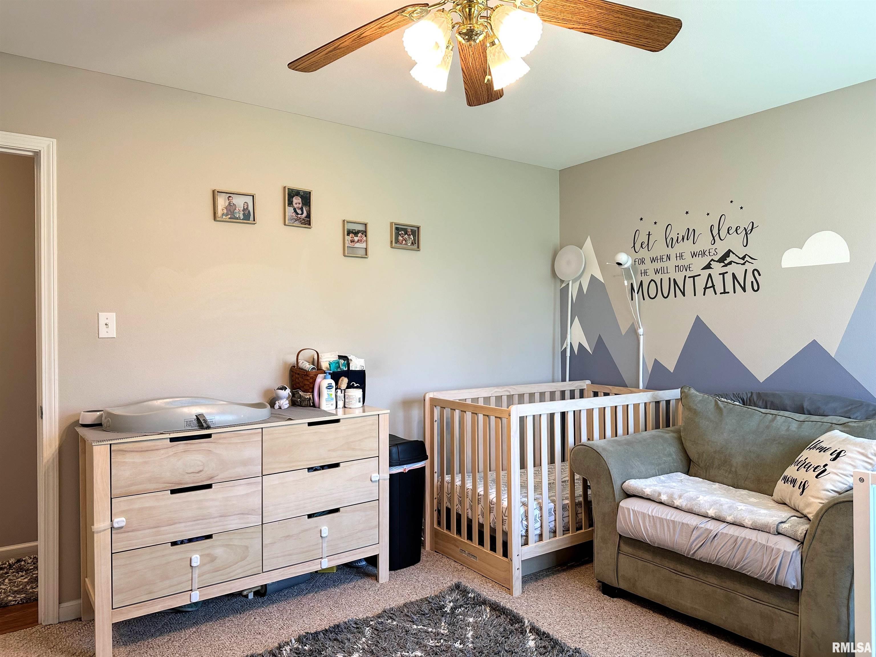 1005 Ivey Lane, Carterville, Illinois image 24