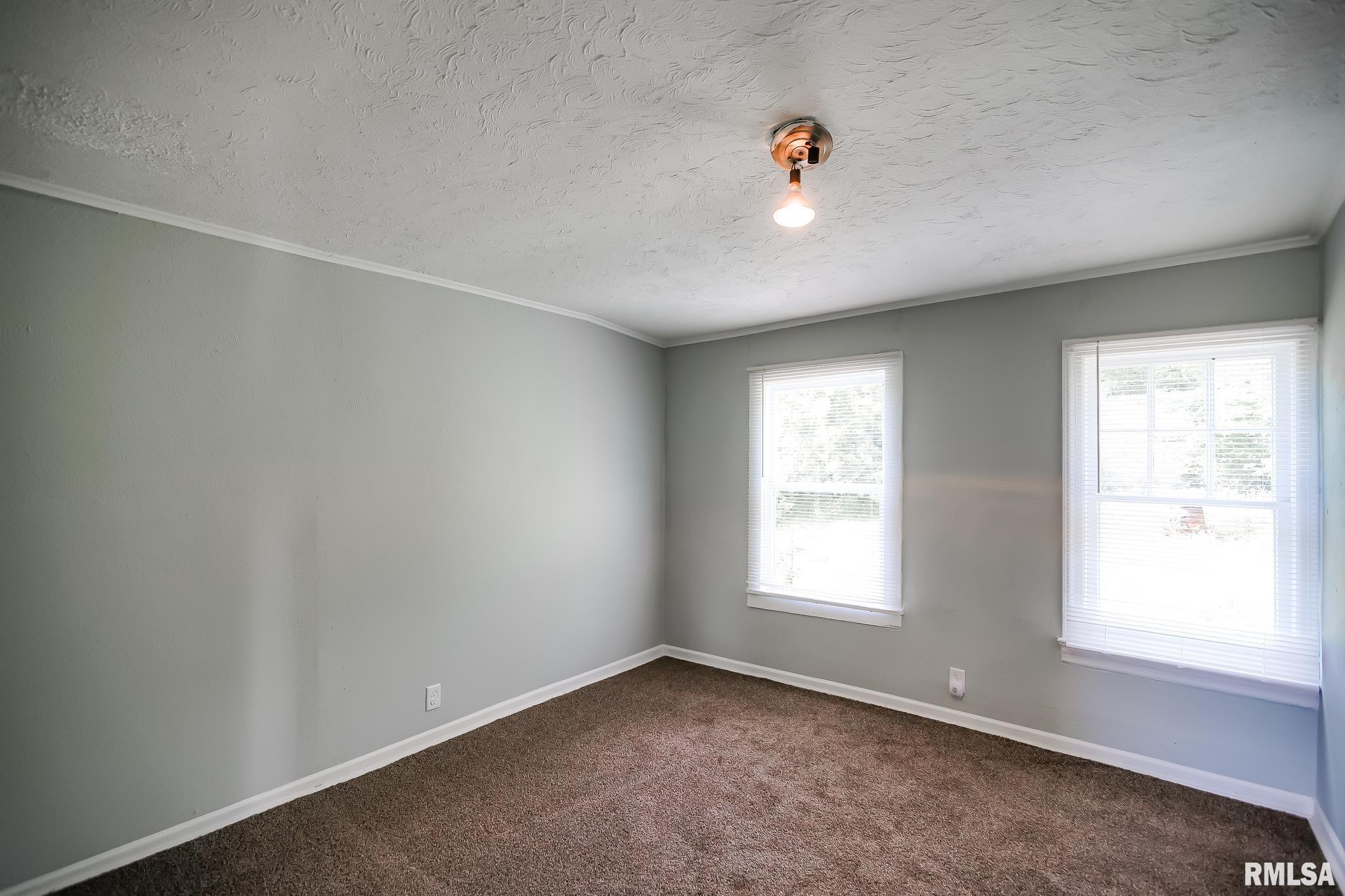 10103 W Powder Mill Road, Edwards, Illinois image 18
