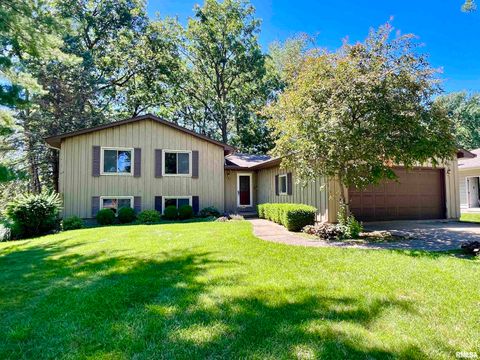 Homes For Sale - 6307 N Post Oak Road<br/> Peoria, IL 61615