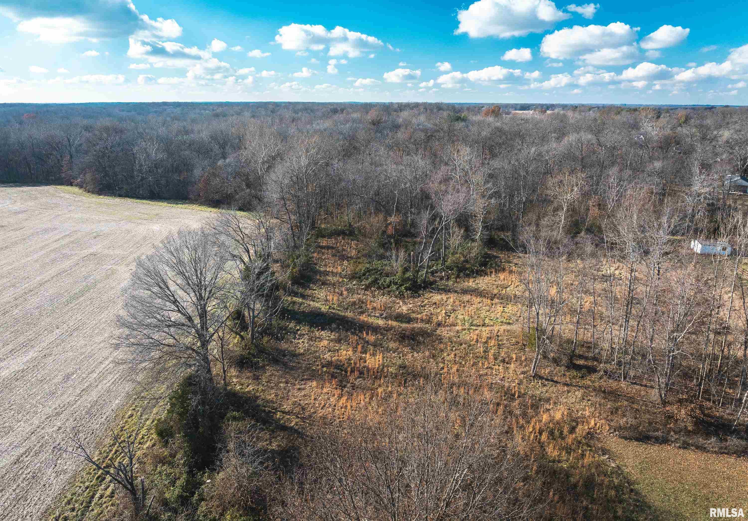 17801 State Route 142, Opdyke, Illinois image 3