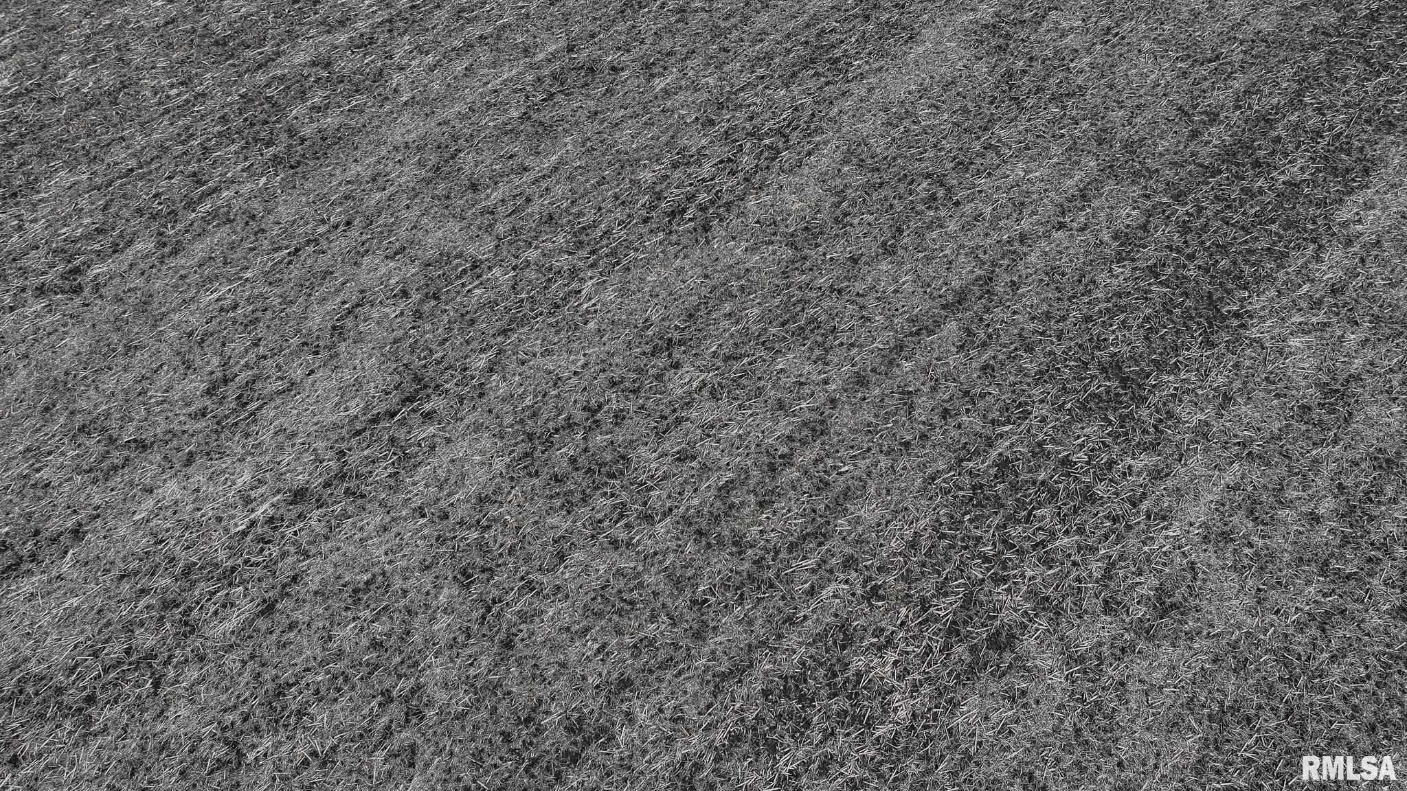 N 400 E Road, Long Point, Illinois image 9