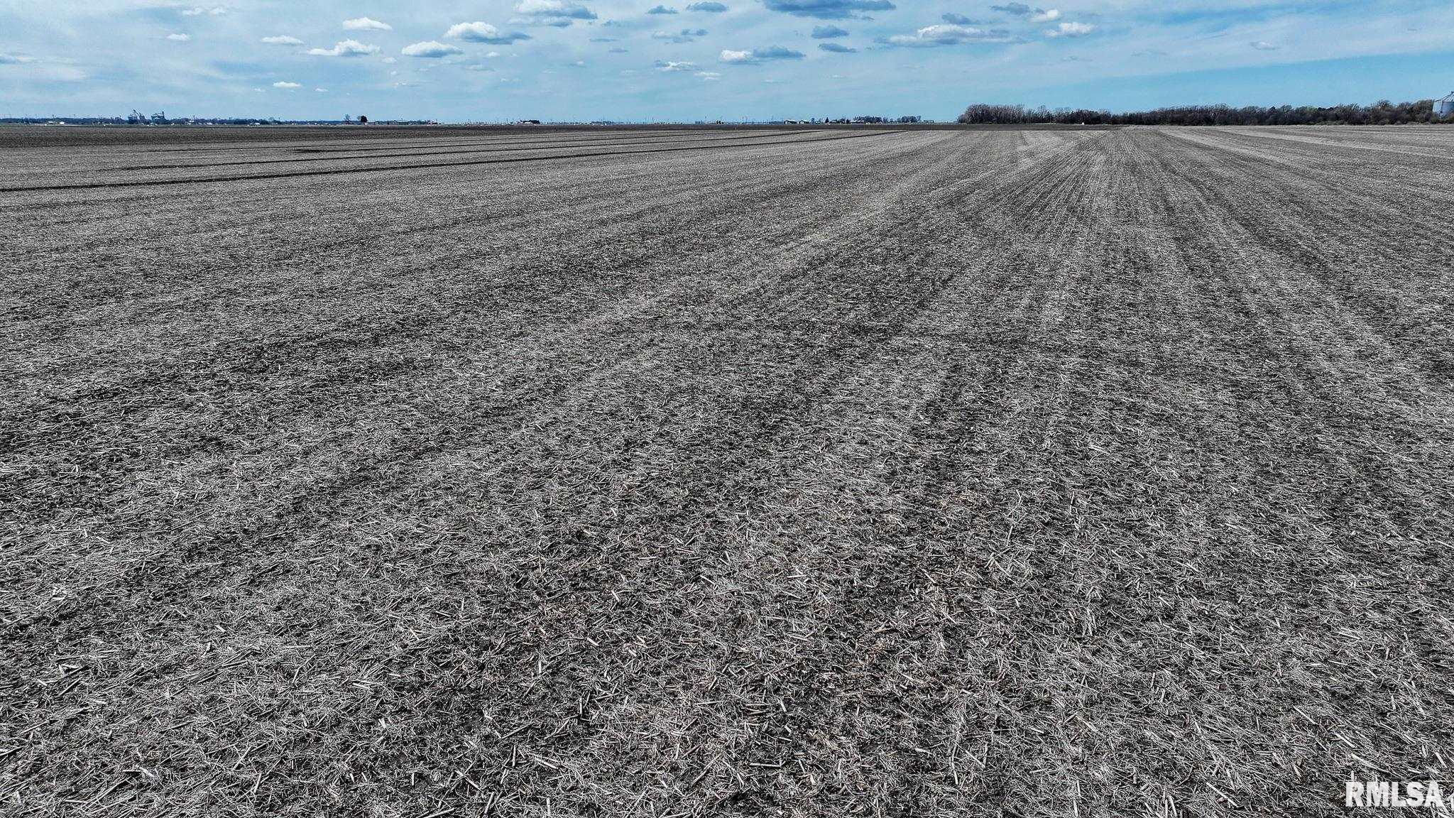 N 400 E Road, Long Point, Illinois image 13