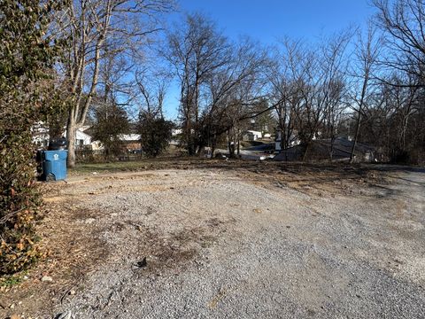 Vacant Land For Sale - 300 1/2 Broad Street<br/> Jonesboro, IL 62952