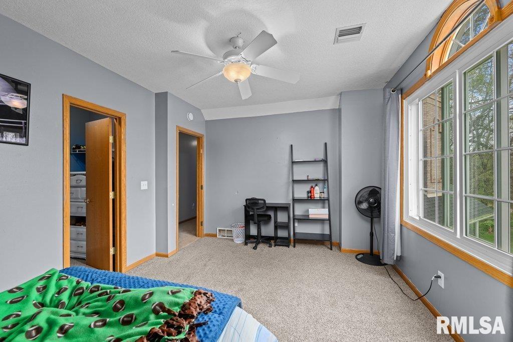 32 Hickory Hills Hls, Geneseo, Illinois image 31