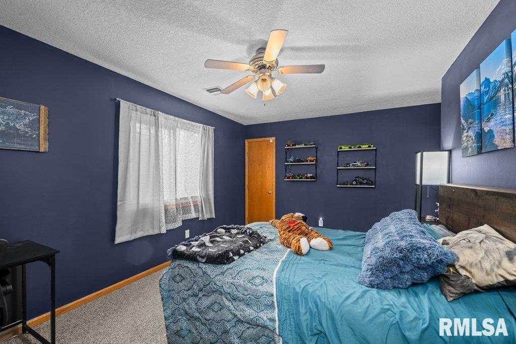32 Hickory Hills Hls, Geneseo, Illinois image 33