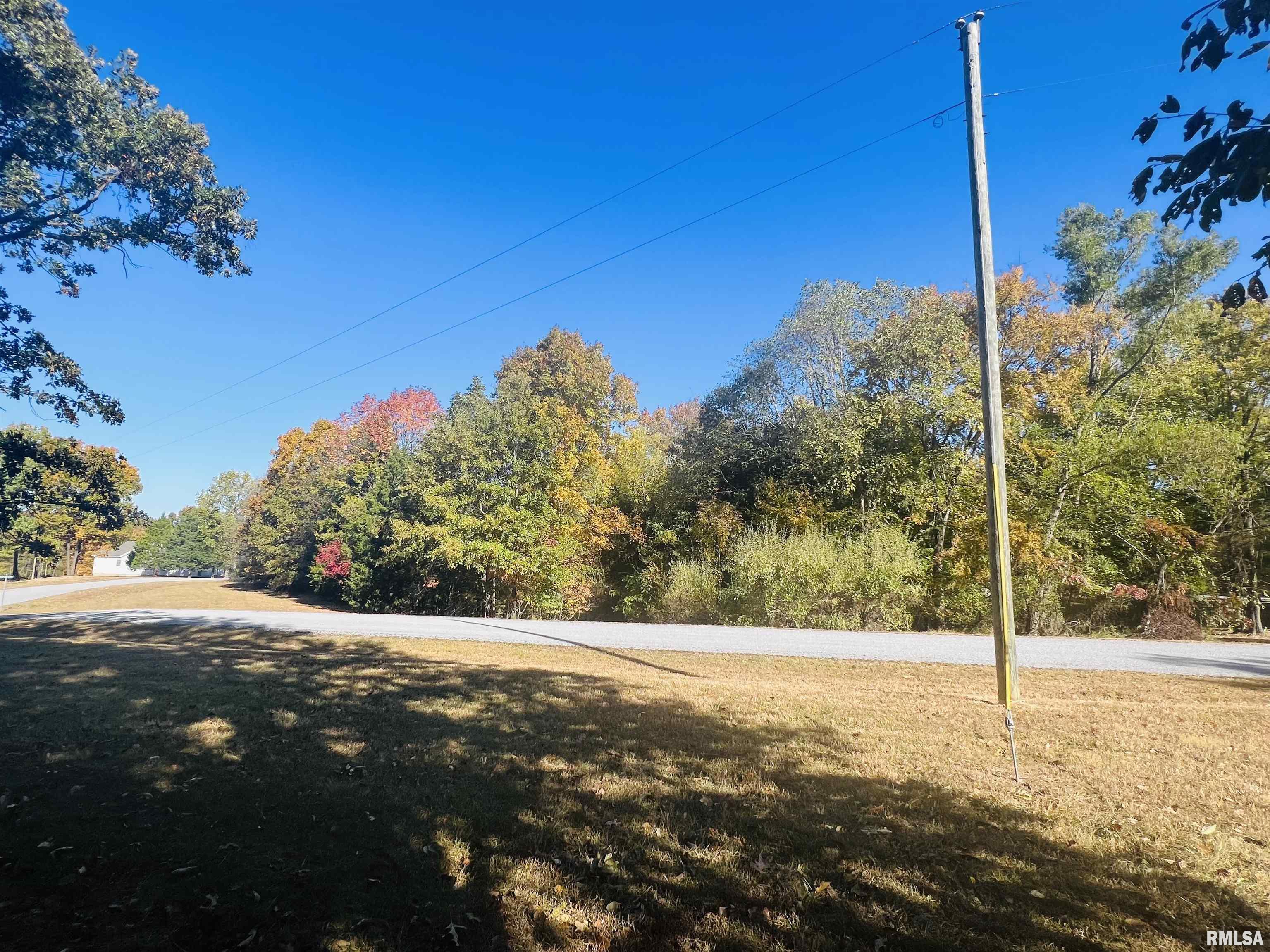 Lot 80 & 81 Saluki Way, Goreville, Illinois image 12