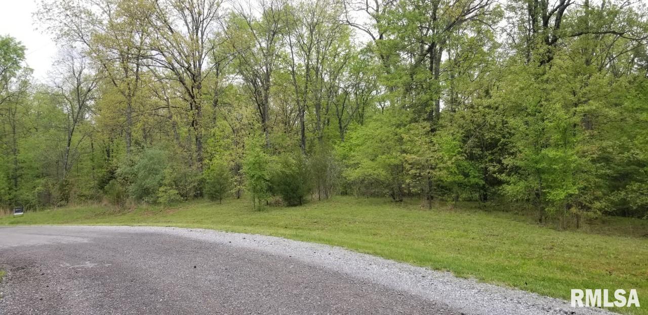 Lot 80 & 81 Saluki Way, Goreville, Illinois image 2