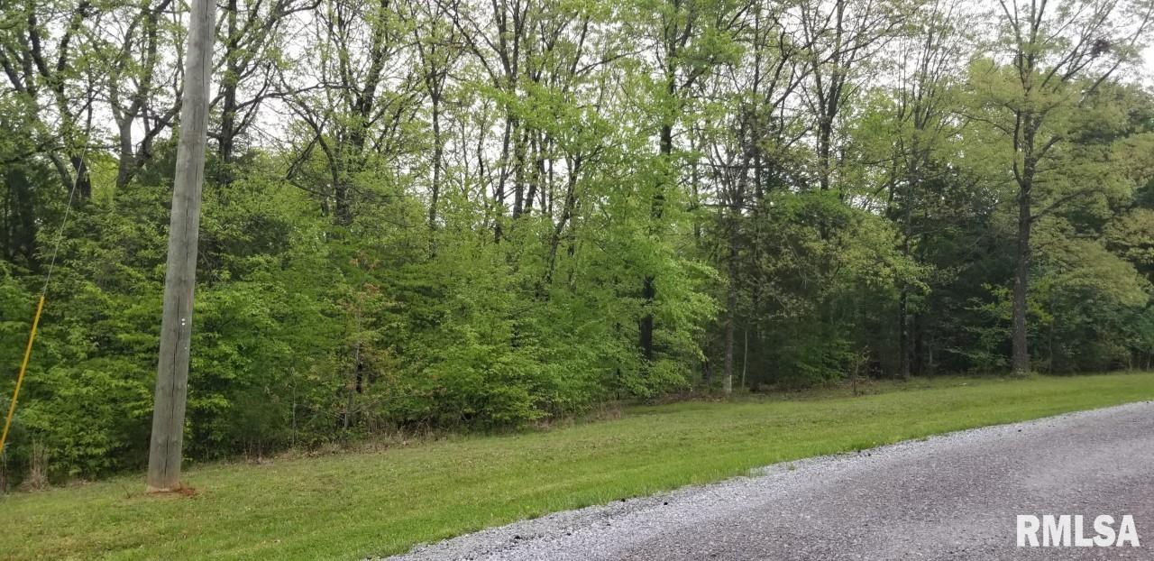 Lot 80 & 81 Saluki Way, Goreville, Illinois image 1