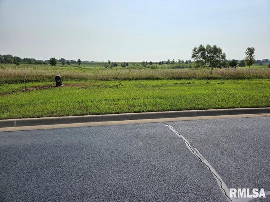 LOT 89 KYLE COURT, METAMORA, IL 61548 - Image fd360d9f1a235142786f045ea10af81d/4208961831