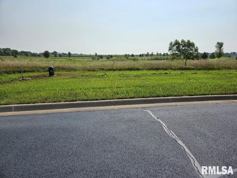 Vacant Land For Sale - LOT 89 Kyle Court<br/> Metamora, IL 61548