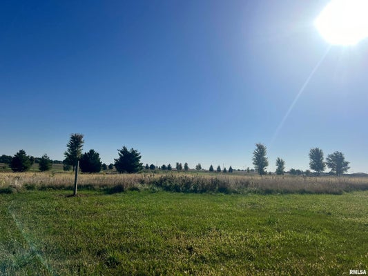 LOT 81 KYLE COURT, METAMORA, IL 61548 - Image fd4447bdb607a84fcce6563a0da0cc77/3526648943