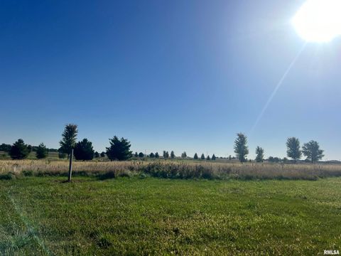 Vacant Land For Sale - LOT 81 Kyle Court<br/> Metamora, IL 61548