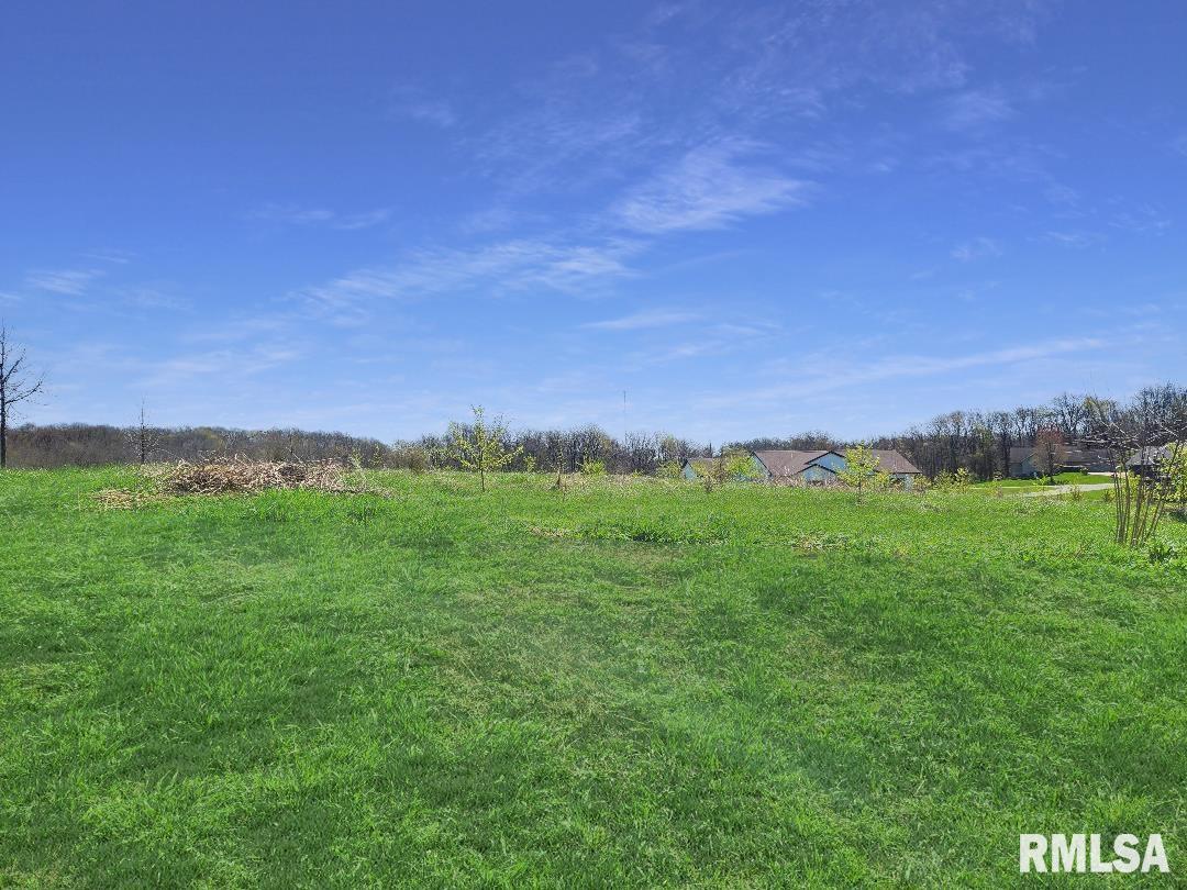 0 - LOT 7 Town Avenue, Princeville, Illinois image 1