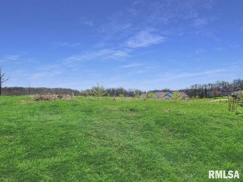 Vacant Land For Sale - 0 - LOT 7 Town Avenue<br/> Princeville, IL 61559