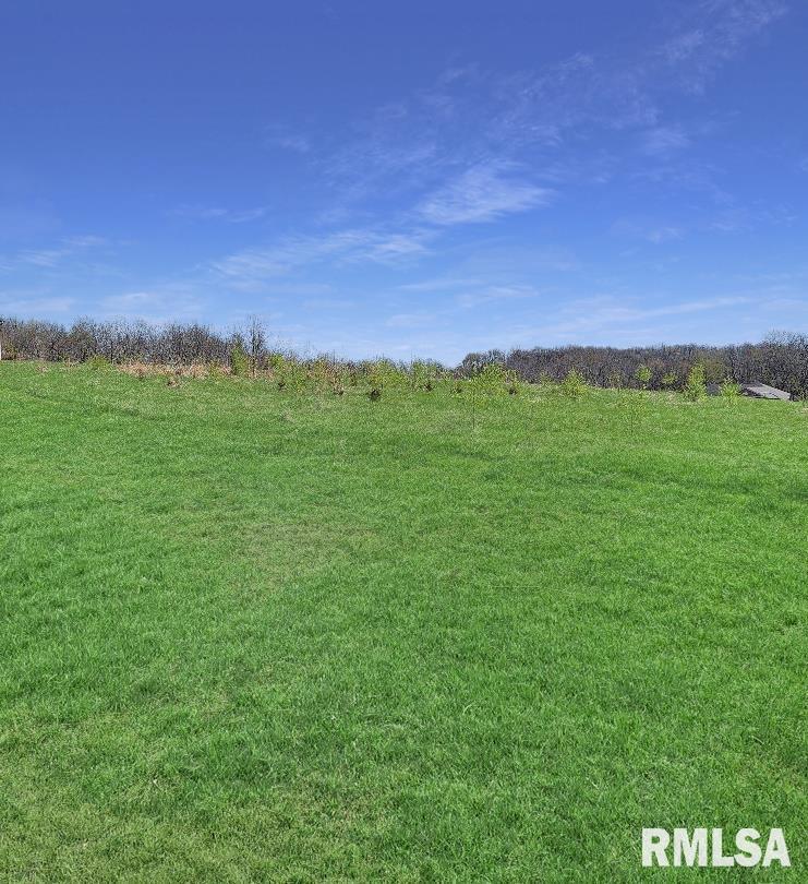 0 - LOT 7 Town Avenue, Princeville, Illinois image 2