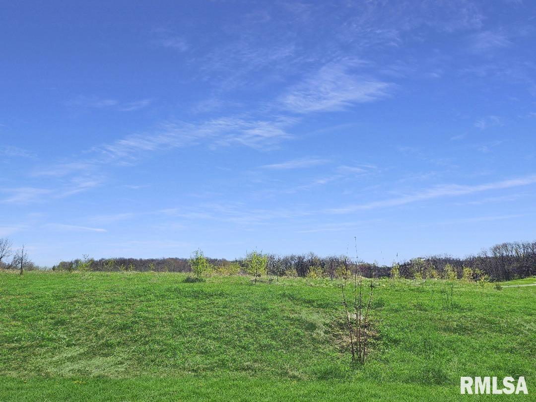 0 - LOT 7 Town Avenue, Princeville, Illinois image 3