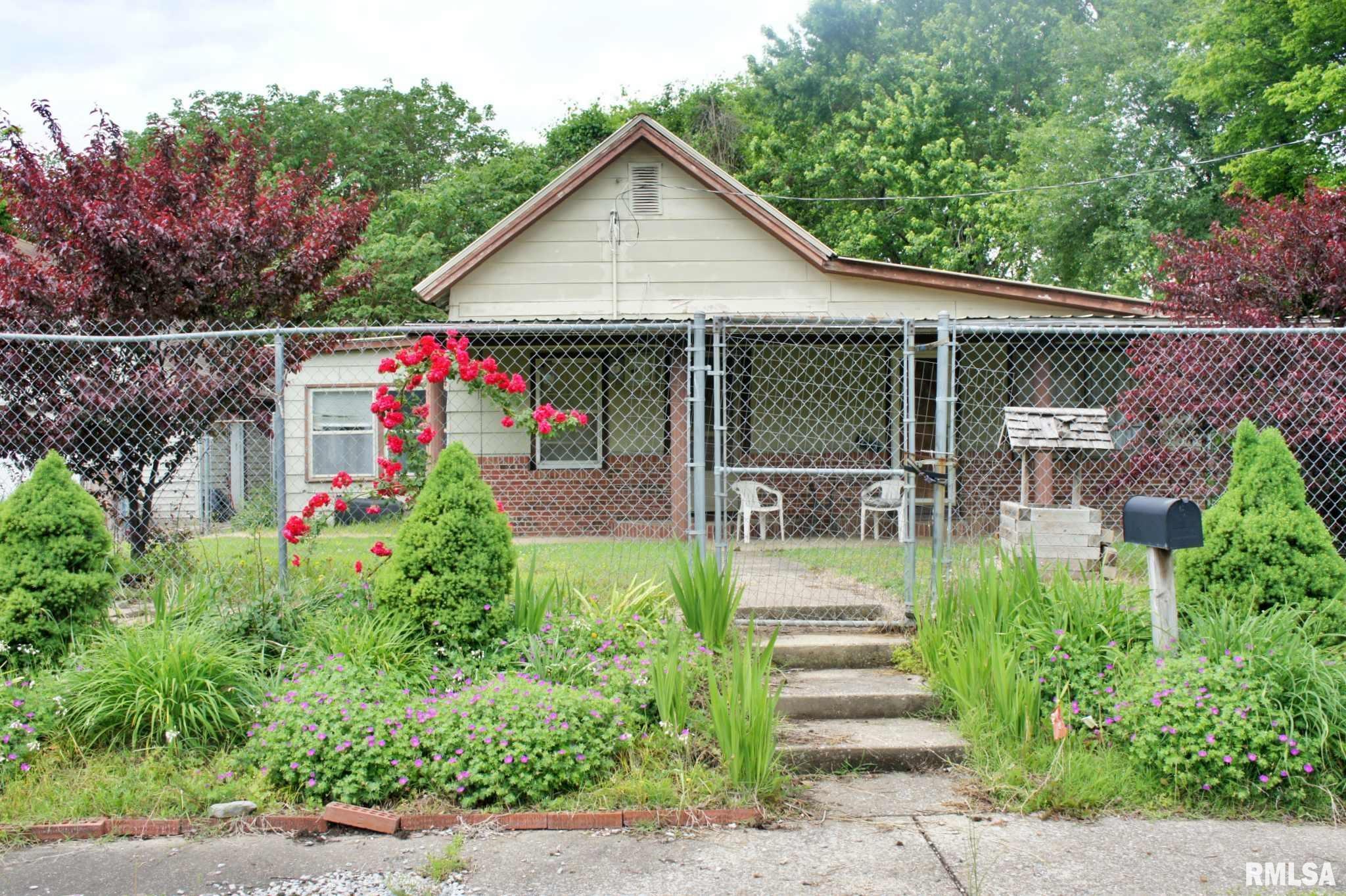 207 Butler Street, Metropolis, Illinois image 1