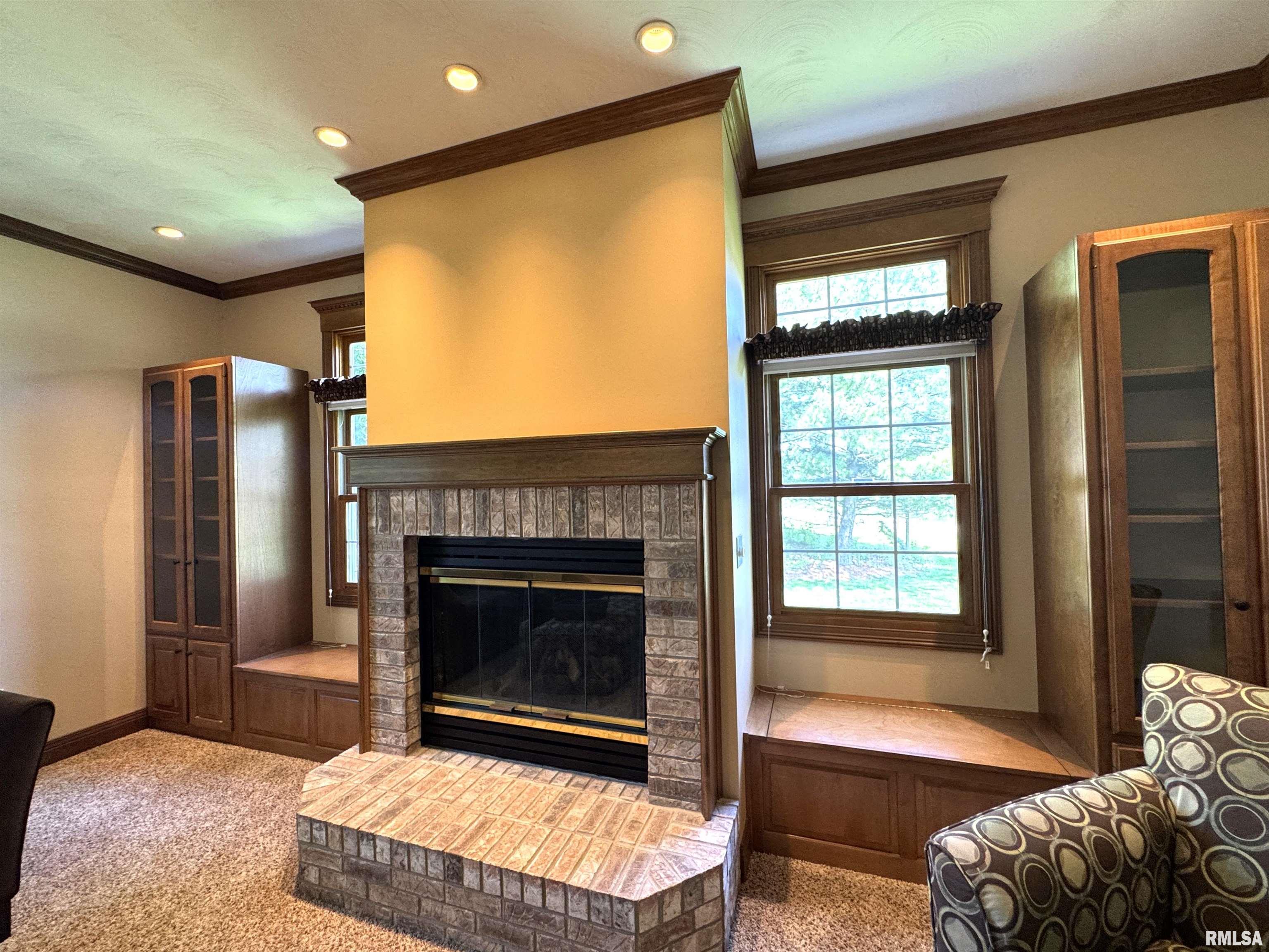 14 Abbey Court, Chatham, Illinois image 12